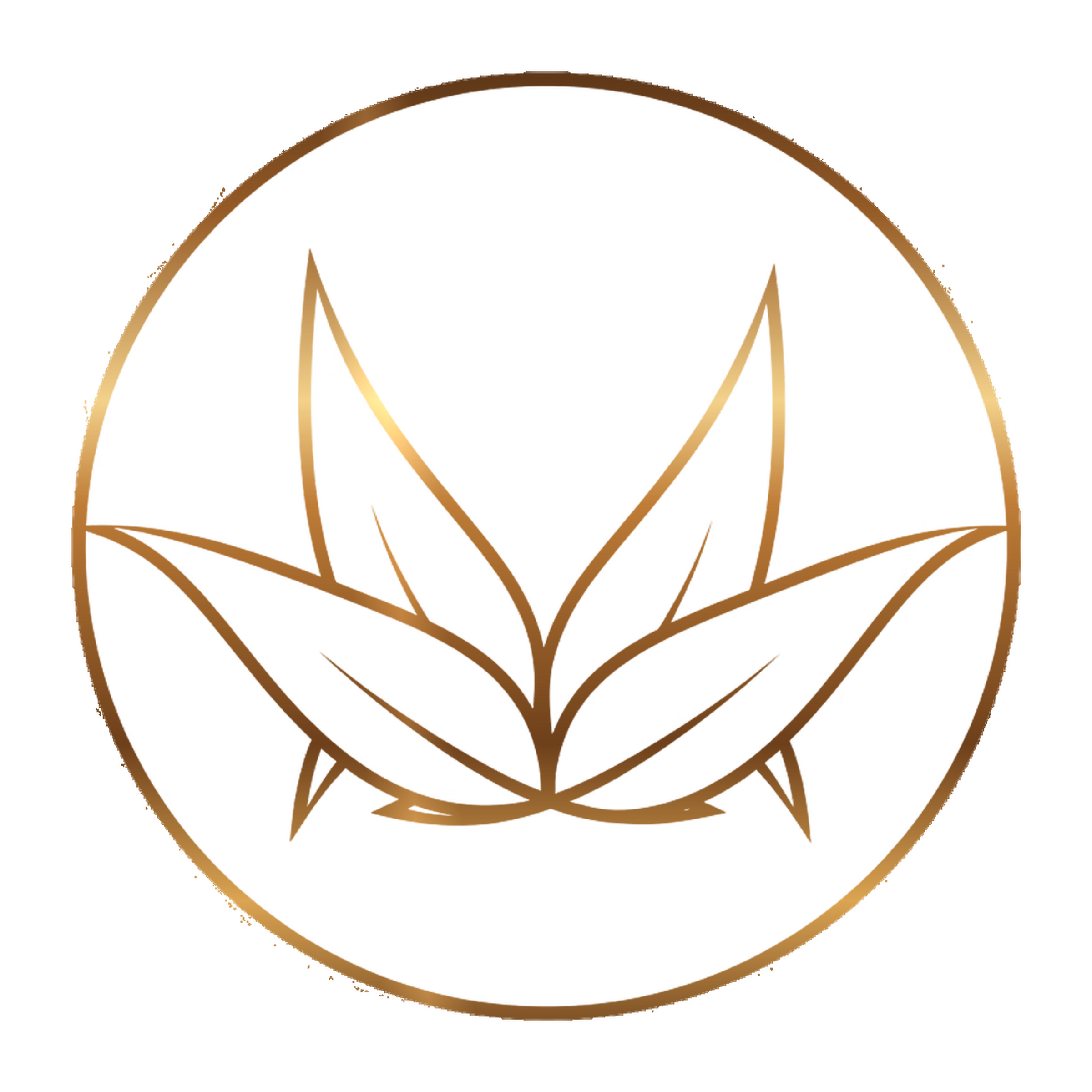 Kigsa Mobilya Logo